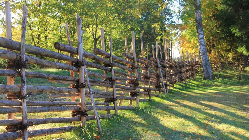 Rustic Log Fence in Sunlit Forest wallpaper
