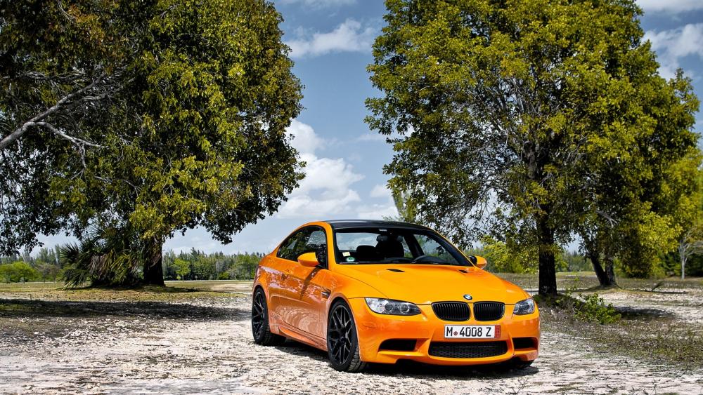 Orange BMW M3 Under Bright Trees wallpaper