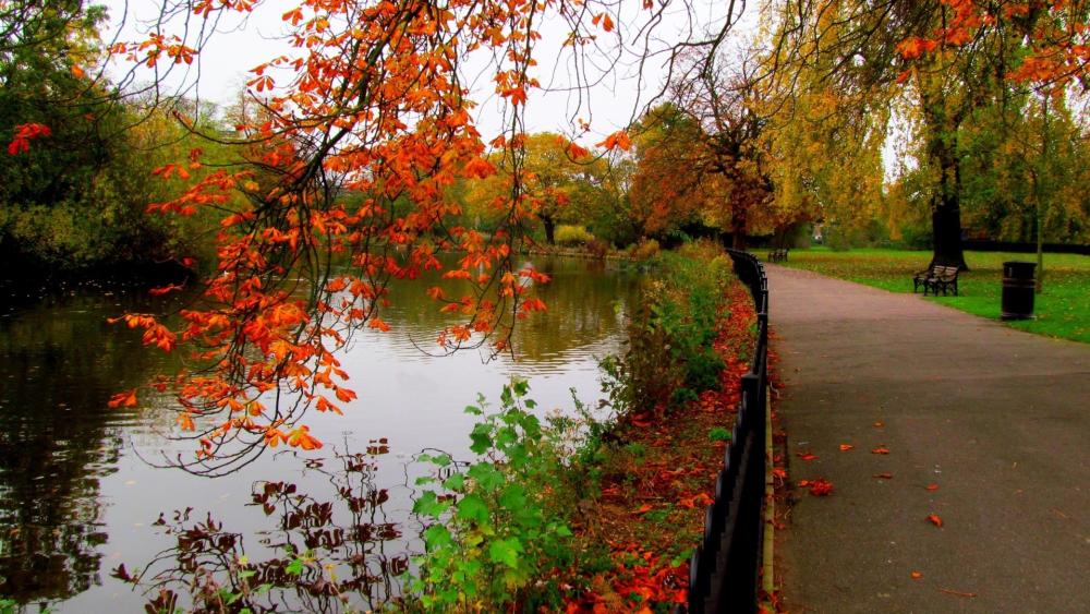 Autumn Lakeshore Walkway wallpaper