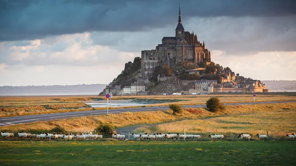 Mont Saint Michel Abbey at Golden Hour wallpaper