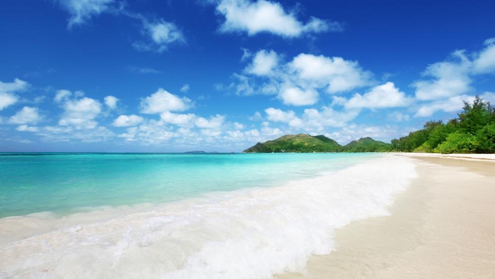 Tropical Paradise Shoreline wallpaper