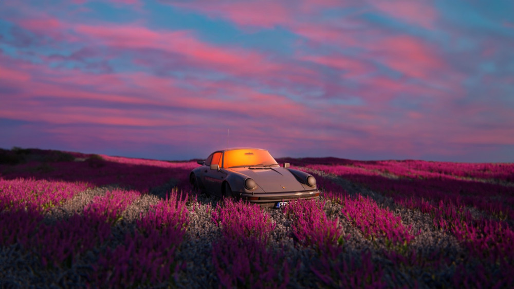 Sunset Porsche in Blooming Fields wallpaper