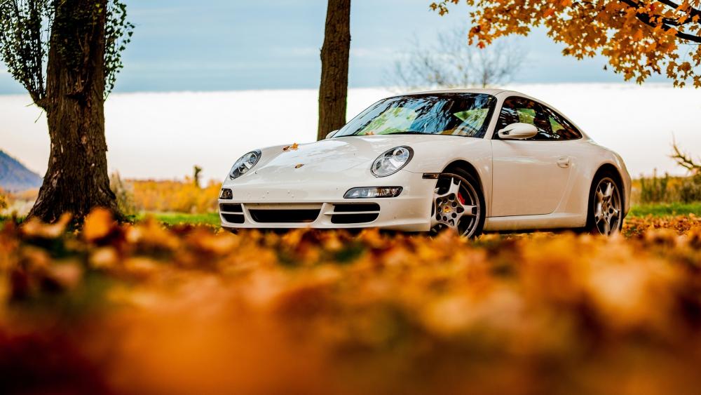 Autumn White Porsche Elegance wallpaper
