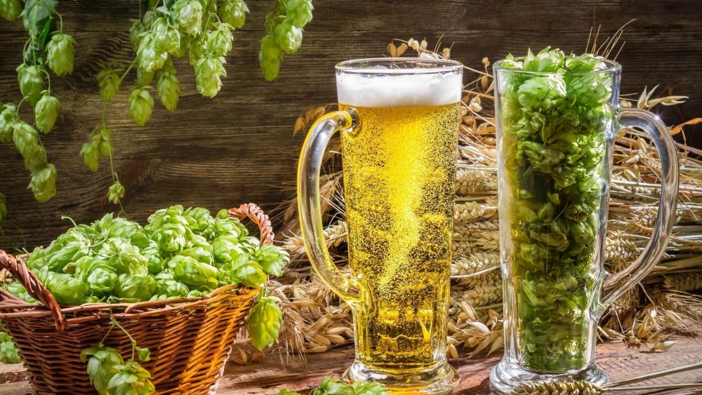 Fresh Beer and Hops Still Life wallpaper