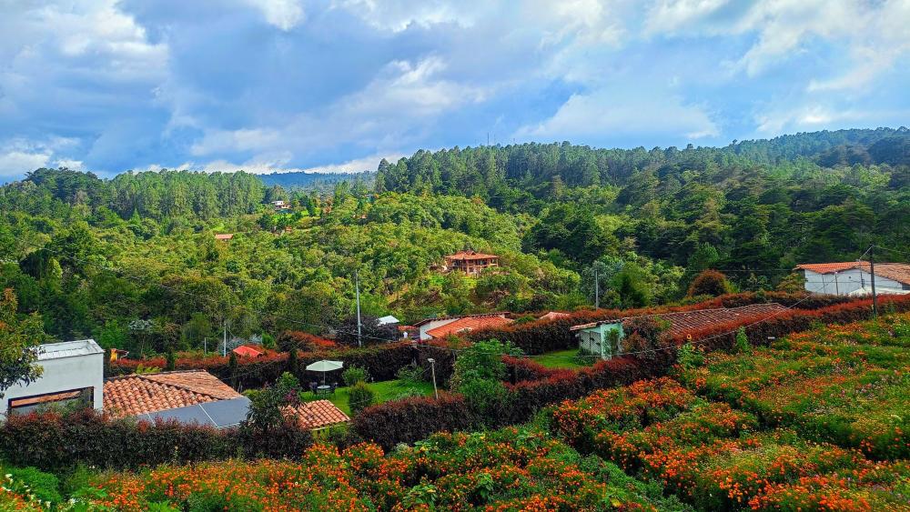 Andean Hillside Village in Bloom wallpaper