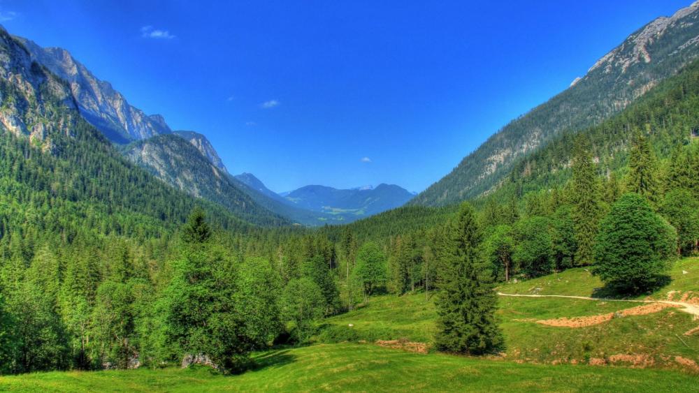 Bavarian Alpine Valley Serenity wallpaper