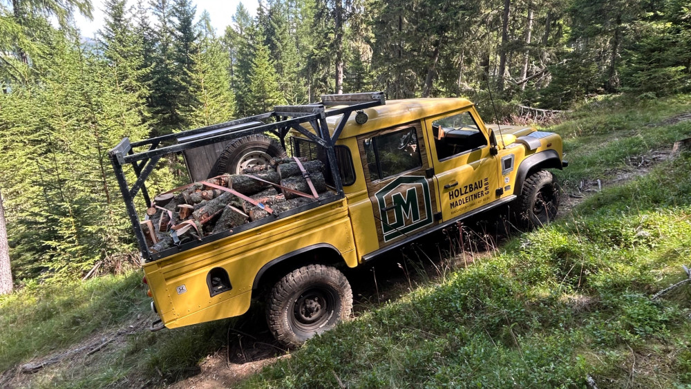 Mountain Workhorse in Alpine Forest wallpaper
