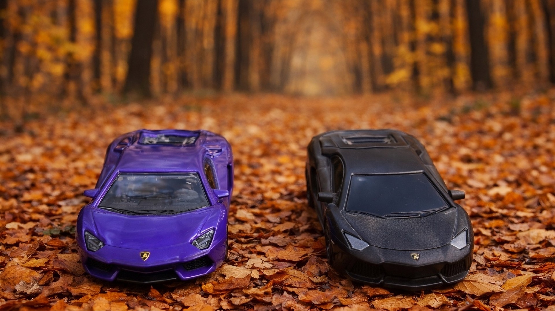Lambo Rv Duo Set Mini Lamborghini Aventador Duo on Autumn Forest Road - backiee