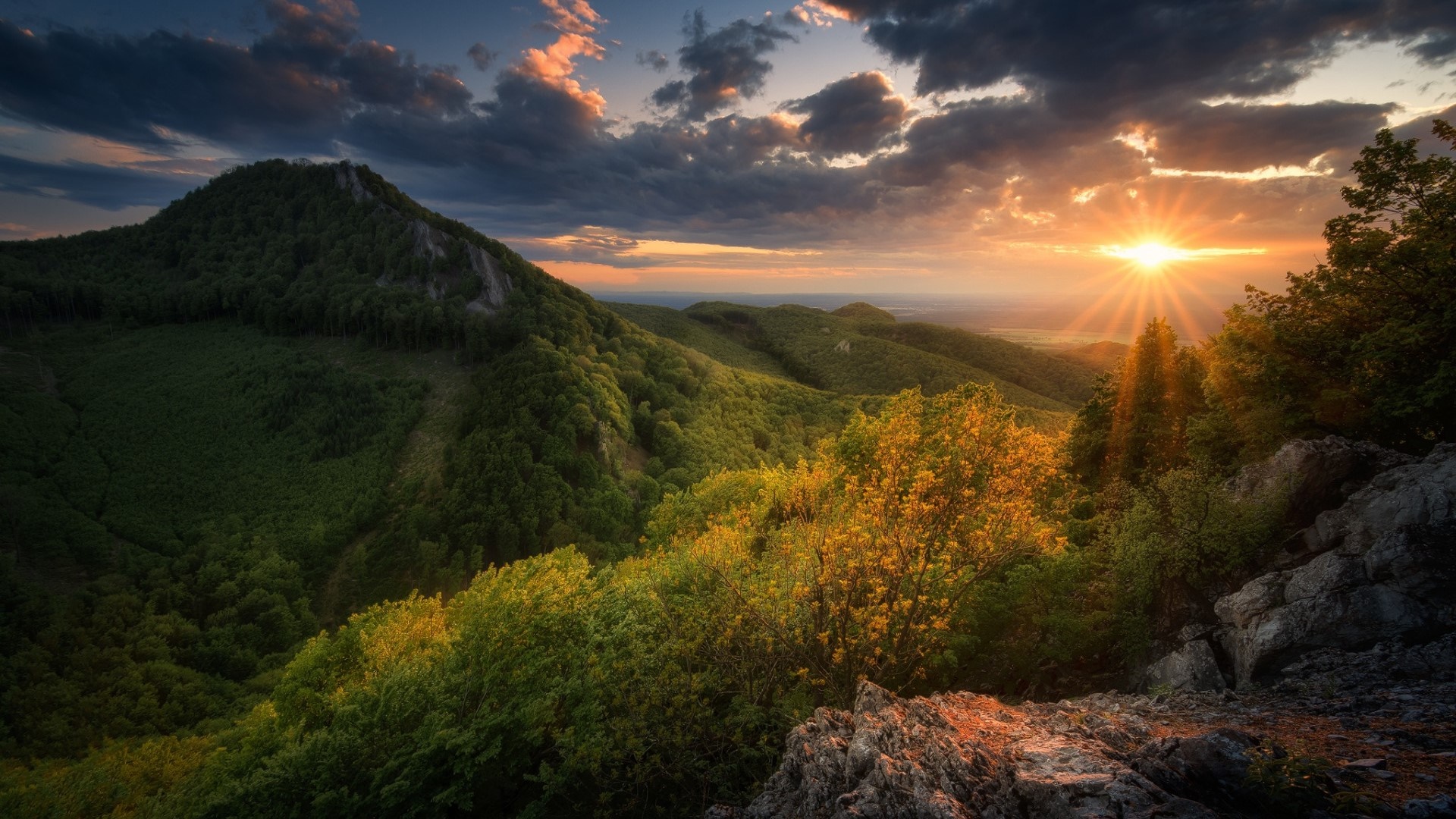 Golden Sunrise Over Mountain Valley - backiee