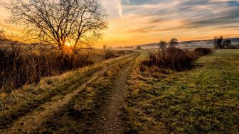 Golden Dawn Over a Peaceful Countryside Path wallpaper