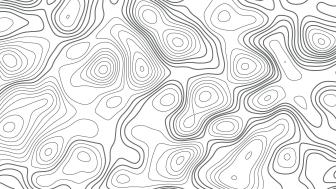 Topographic Line Art Exploration wallpaper