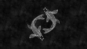 White Koi wallpaper