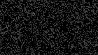 Abstract Monochrome Topographic Line Art wallpaper