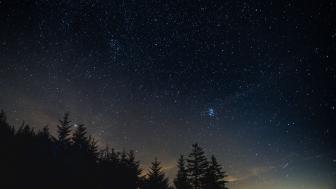 Starry Night Over Pine Forests wallpaper