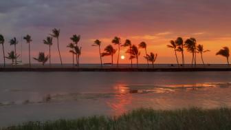Sunset Serenade in a Windy Dusk wallpaper