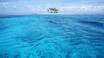 Tropical Islet Oasis with Crystal Blue Waters wallpaper