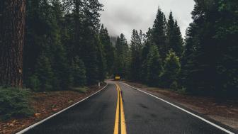 Misty Forest Road Under Rainy Skies wallpaper