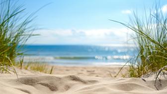 Summer Serenity on a Sandy Shoreline wallpaper