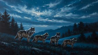 Wolf Pack Under Moonlit Sky wallpaper