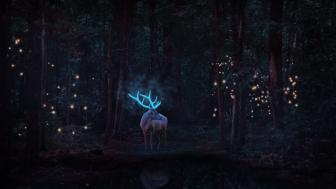 Enchanted Stag Illuminates Mystical Woodland wallpaper