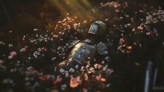 Knight's Rest in a Flowered Field wallpaper