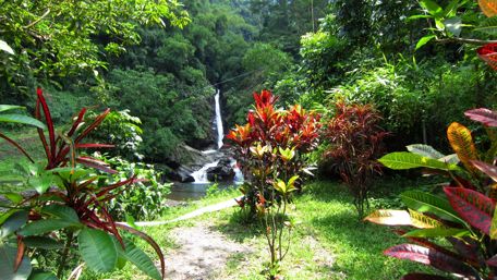 Lush Tropical Waterfall Escape wallpaper