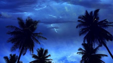 Ethereal Night with Lightning and Palms wallpaper