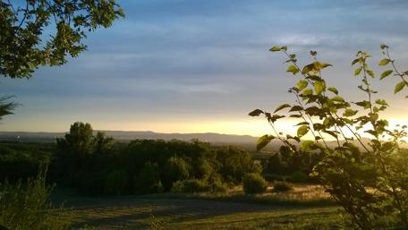 Serene Sunset Over Rolling Hills wallpaper