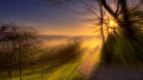Breathtaking Sunset Embracing Nature's Pathway wallpaper