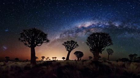 Milkyway over Baobab Trees wallpaper