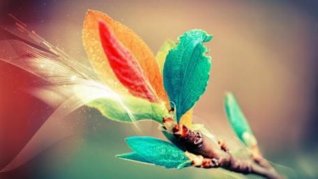 Abstract Nature's Palette wallpaper