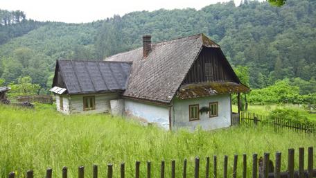 Serene Cottage in a Lush Forest Retreat wallpaper