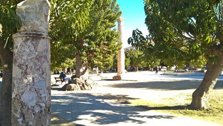 Serene Park Scene in Cherchell Algeria 4k Wallpaper wallpaper