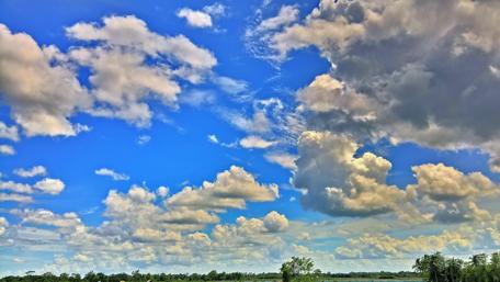 Majestic Cloudy Sky Over Lush Trees wallpaper