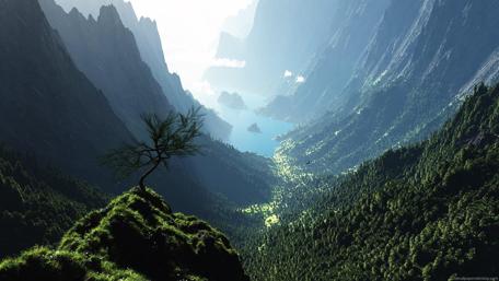 Lonely Tree Overlooking Majestic Mountain Lake wallpaper