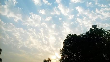 Serene Evening Sky Over Silhouetted Trees wallpaper