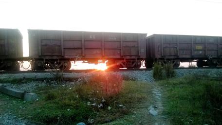Rustic Train Journey Through Nature's Beauty wallpaper