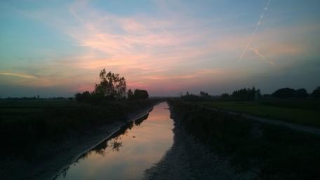 Serene Evening Reflections in Nature wallpaper