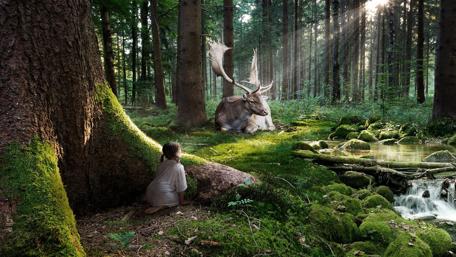 Enchanted Forest Reverie wallpaper