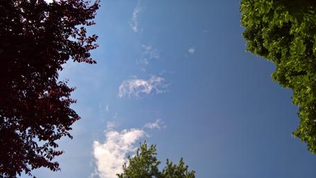 Serene Blue Sky Framed by Lush Foliage wallpaper