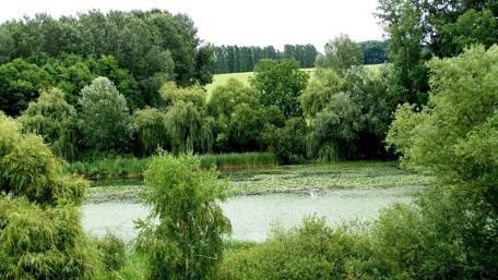 Serene Landscape Embracing Tranquility and Nature's Beauty wallpaper