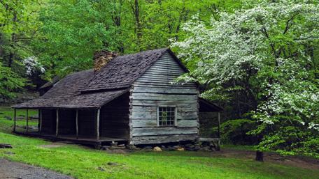 Serene Forest Cottage Retreat wallpaper