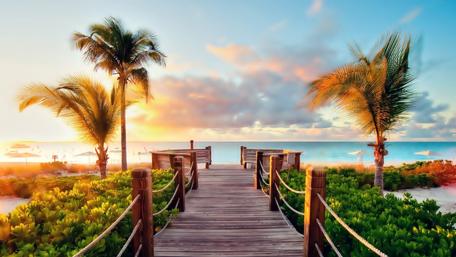 Serene Tropical Getaway wallpaper