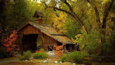 Cabin in the woods wallpaper