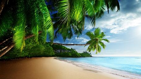 Tropical Paradise Beach wallpaper