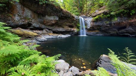 Serene Waterfall in a Lush Green Landscape wallpaper