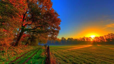 Tranquil Sunset Over Golden Fields wallpaper