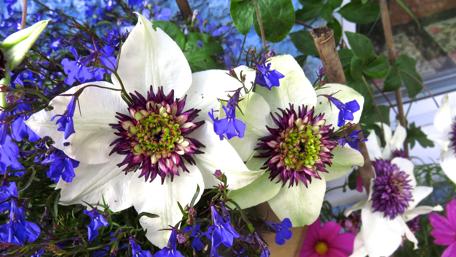 Vibrant Floral Harmony in Blooming Colors wallpaper