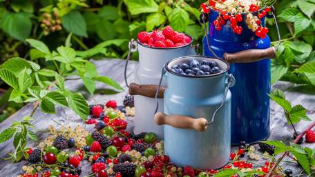 Fresh fruits wallpaper