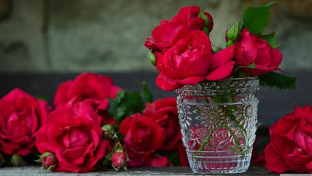 Vibrant Red Roses in Glass Vase wallpaper